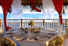 Delphin Diva Primiere(ex.Delphin Diva)