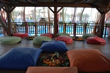 Delphin Diva Primiere(ex.Delphin Diva)