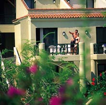 Sentido Perissia (ex.Paloma Perissia)