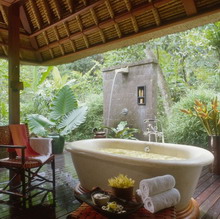 Four Seasons Resort Bali at Sayan