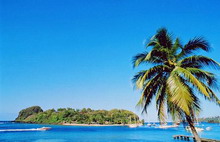 Сент-Винсент и Гренадины