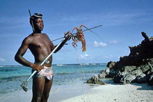 Сент-Винсент и Гренадины