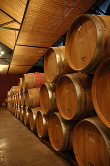 Винодельня в долине Колчагуа