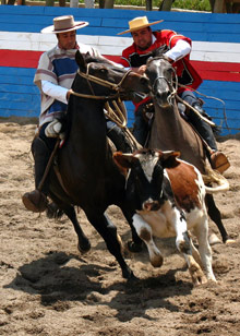 Чилийское родео
