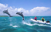 Багамские острова