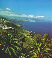 Канарские острова