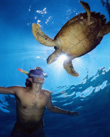 Сейшельские острова