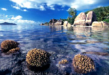 Сейшельские острова