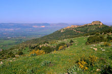 Галилея. Гора Хермон