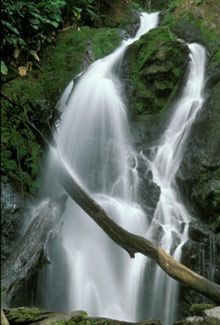 Национальный парк Корковадо