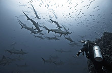 Остров Кокос