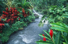 Национальный парк Ареналь