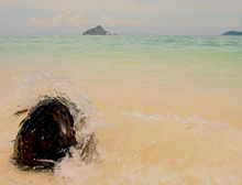 Остров Кокос