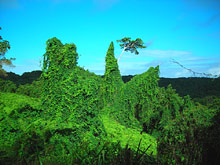 Остров Кокос