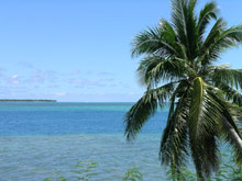 Остров Кокос