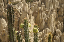 Лунная долина