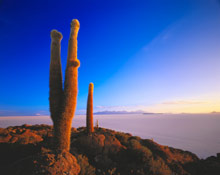 Высохшее солёное озеро Салар-де-Уюни